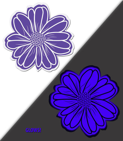 Wildflower Violet-aqua