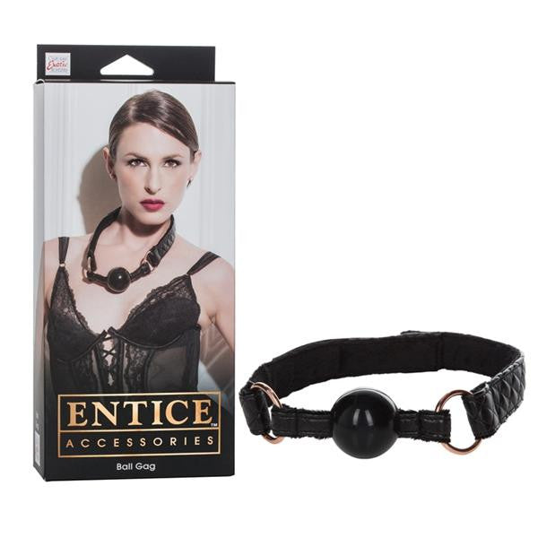 Entice Ball Gag